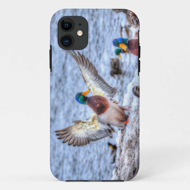 Capa Para iPhone Da Case-Mate Landing Mallard Duck Drake 5 Wildlife Foto (Verso)