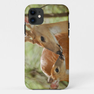 Capa Para iPhone Da Case-Mate Ligação do fanfarrão e da jovem corça do White
