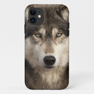 Capa Para iPhone Da Case-Mate Lobo de madeira por Jim Zuckerman