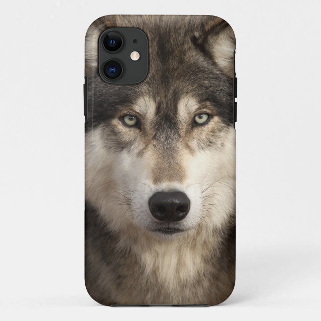 Capa Para iPhone Da Case-Mate Lobo de madeira por Jim Zuckerman (Verso)