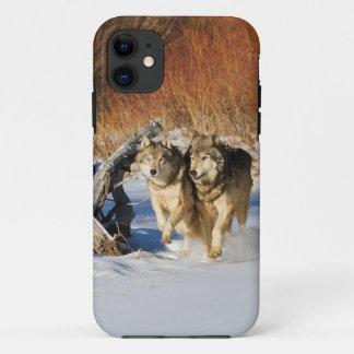 Capa Para iPhone Da Case-Mate Lobos que funcionam no capa de iphone 4 da neve