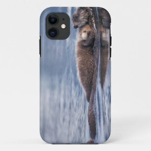 Capa Para iPhone Da Case-Mate lontra marinha, Enhydra lutris lutris