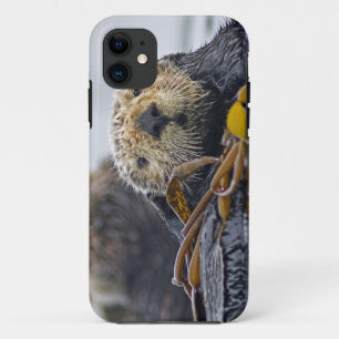 Capa Para iPhone Da Case-Mate Lutris bonitos do Enhydra da lontra de mar de