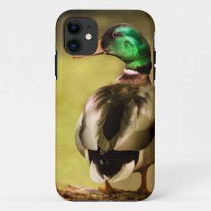Capa Para iPhone Da Case-Mate Mallard Duck