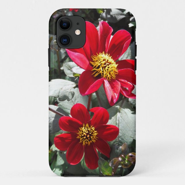 Capa Para iPhone Da Case-Mate margarida rosa-vermelha / flores das margaridas (Verso)