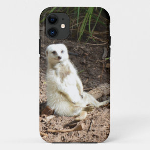 Capa Para iPhone Da Case-Mate Modelo na Natureza: White Meerkat Posing for Camer