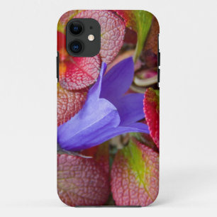 Capa Para iPhone Da Case-Mate N.A., EUA, Alasca. Campainha azul na tundra em