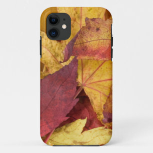 Capa Para iPhone Da Case-Mate Natureza Deixa Árvore de outono Colorida Folha