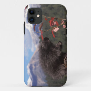 Capa Para iPhone Da Case-Mate ouriço-comum se alimentando de cranberry de arbust