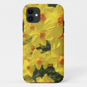 Capa Para iPhone Da Case-Mate Países Baixos, Holanda, Lisse, Jardins Keukenhof,