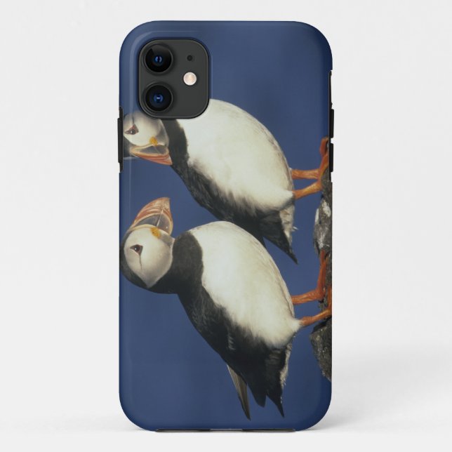 Capa Para iPhone Da Case-Mate Papagaio-do-mar-Atlântico (Verso)