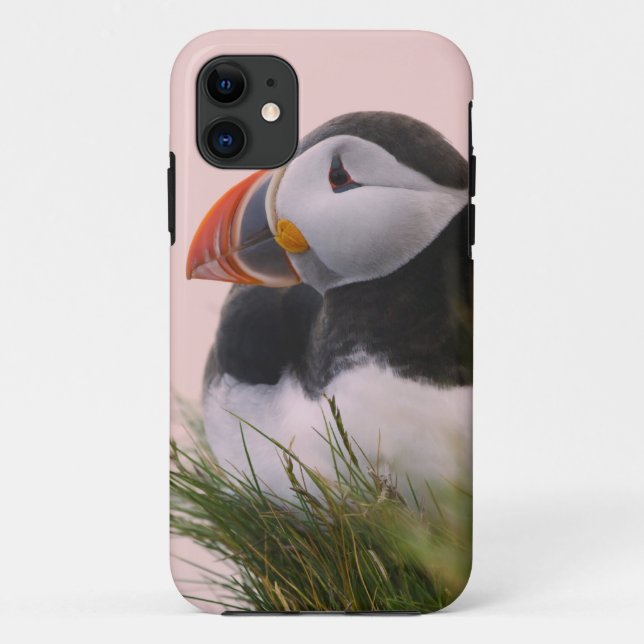 Capa Para iPhone Da Case-Mate Papagaio-do-mar (Fratercula arctica) (Verso)