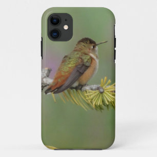 Capa Para iPhone Da Case-Mate Pássaro humano no pinheiro