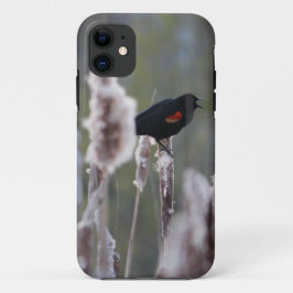 Capa Para iPhone Da Case-Mate Pássaro Negro de asa vermelha (Agelaius phoeniceus
