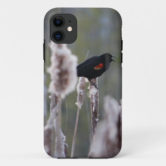Capa Para iPhone Da Case-Mate Pássaro Negro de asa vermelha (Agelaius phoeniceus (Verso)