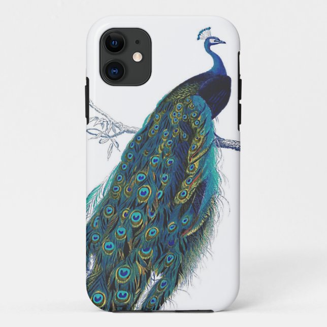 Capa Para iPhone Da Case-Mate Pavão azul com as penas de cauda bonitas (Verso)