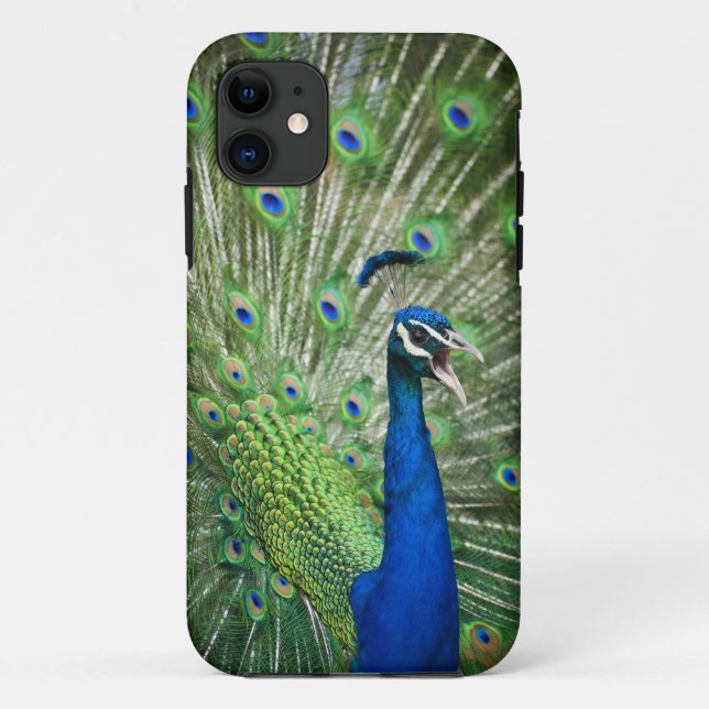 Capa Para iPhone Da Case-Mate Pavão gritando (Verso)