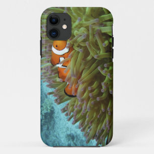 Capa Para iPhone Da Case-Mate Peixe-palheiro ocidental ( Amphiprion ocellaris )