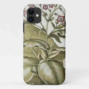 Capa Para iPhone Da Case-Mate Planta de tabaco, do "Hortus Eystettensis" por B
