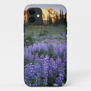 Capa Para iPhone Da Case-Mate Pôr do sol sobre o Mt. Adams e um prado subalpino