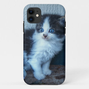 Capa Para iPhone Da Case-Mate Preto + Gatinho branco