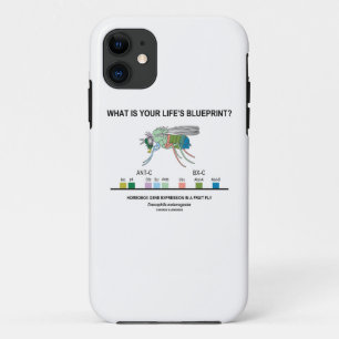 Capa Para iPhone Da Case-Mate Que é o modelo da sua vida? (Expressão genética