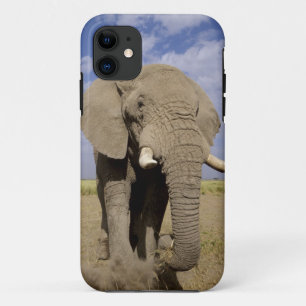 Capa Para iPhone Da Case-Mate Quênia: Parque Nacional de Amboseli, elefante mach