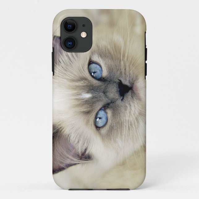 Capa Para iPhone Da Case-Mate Ragdoll kitten (Verso)