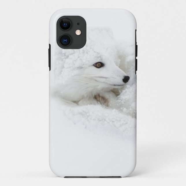 Capa Para iPhone Da Case-Mate Raposa-do-ártico enrolada no inverno (Verso)