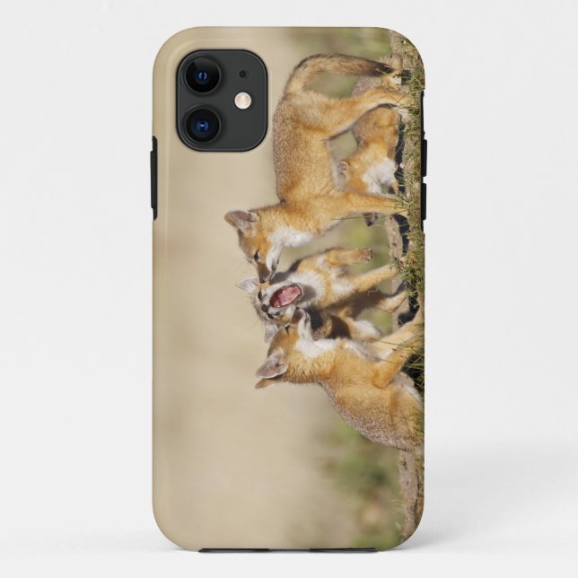 Capa Para iPhone Da Case-Mate Raposa-Swift (Vulpes macrotis) jovem em den burrow (Verso)