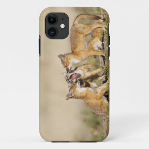 Capa Para iPhone Da Case-Mate Raposa Veloz (Vulpes macrotis) jovem na toca da to