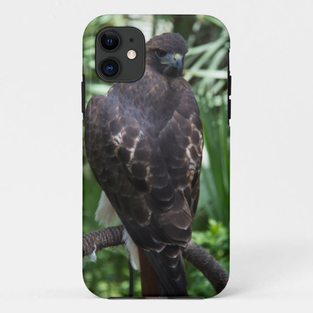 Capa Para iPhone Da Case-Mate Red Tail Hawk Bird (Verso)