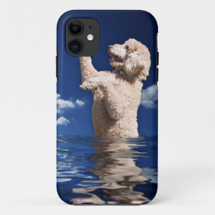 Capa Para iPhone Da Case-Mate Reflexões da caniche padrão
