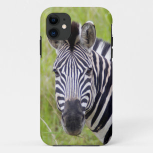 Capa Para iPhone Da Case-Mate Retrato de Zebra-da-planície, Hluhluwe-Umfolozi Ga