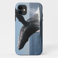 Rompimento adulto da baleia de Humpback