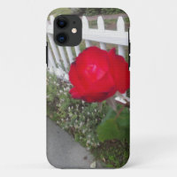 Rosa de Solo Vermelho