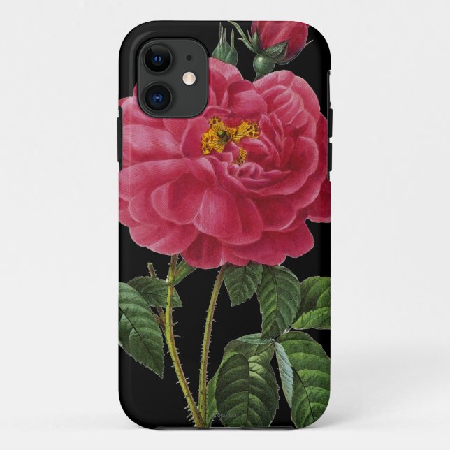Capa Para iPhone Da Case-Mate Rosa Gallica (Verso)