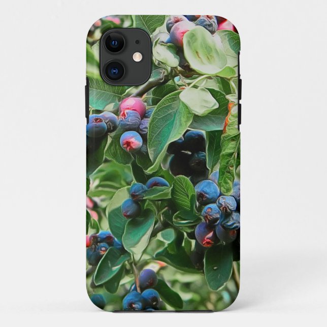 Capa Para iPhone Da Case-Mate Saskatoon (Verso)