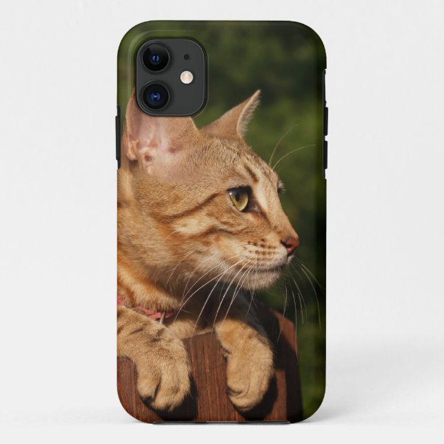 Capa Para iPhone Da Case-Mate Savannah Cat iPhone 5 (Verso)