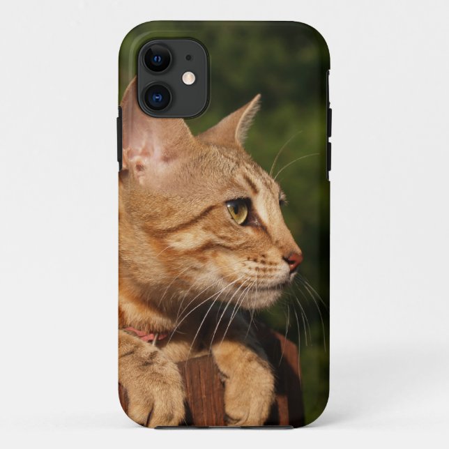 Capa Para iPhone Da Case-Mate Savannah Cat iPhone 5 Case-Mate mal lá (Verso)