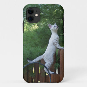 Capa Para iPhone Da Case-Mate Savannah Cat iPhone 5 Identificação personalizada