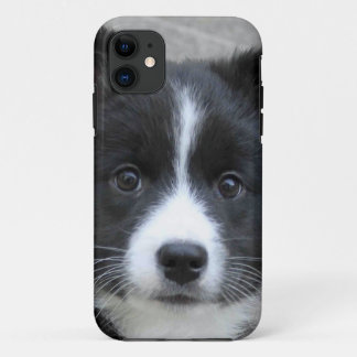 Capa Para iPhone Da Case-Mate Sheepdog Islandês 2014-0804
