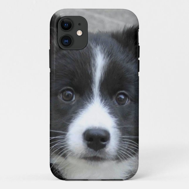 Capa Para iPhone Da Case-Mate Sheepdog Islandês 2014-0804 (Verso)