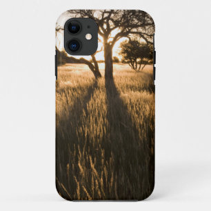 Capa Para iPhone Da Case-Mate Silhueta De Árvores De Acácia Na Grama. Mariental