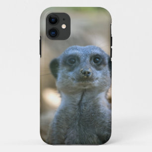 Capa Para iPhone Da Case-Mate Suricata
