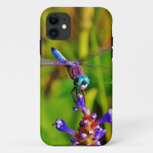 Capa Para iPhone Da Case-Mate Teal Rainbow Dragonfly