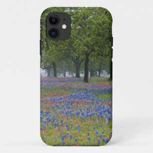Capa Para iPhone Da Case-Mate Texas, Texas Hill Country, Castilleja de Texas e