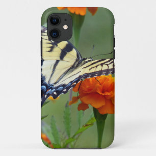 Capa Para iPhone Da Case-Mate Tigre oriental fêmea amarelo Swallowtail