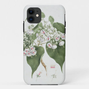 Capa Para iPhone Da Case-Mate Torrida de Walkuffa No.5 Dombeya (w/c sobre a