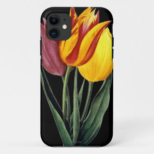 Capa Para iPhone Da Case-Mate Tulipa (Tulipa Gesneriana)